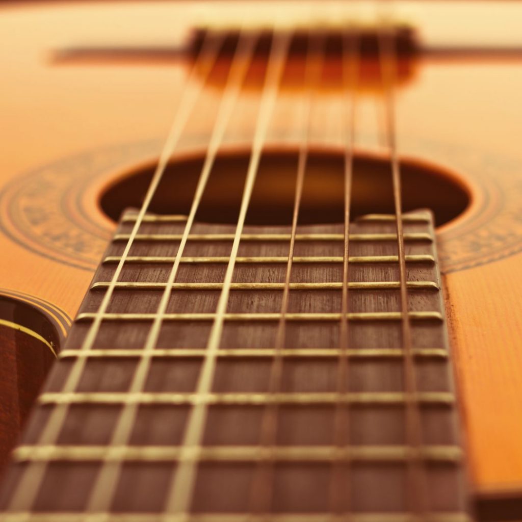 History Of Taylor Guitars