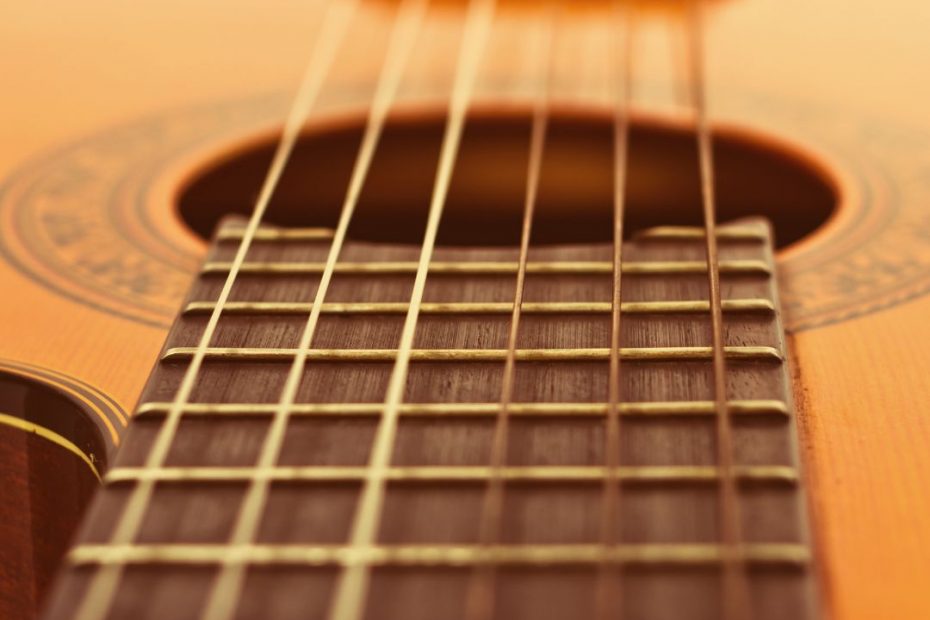 History of Taylor Guitars