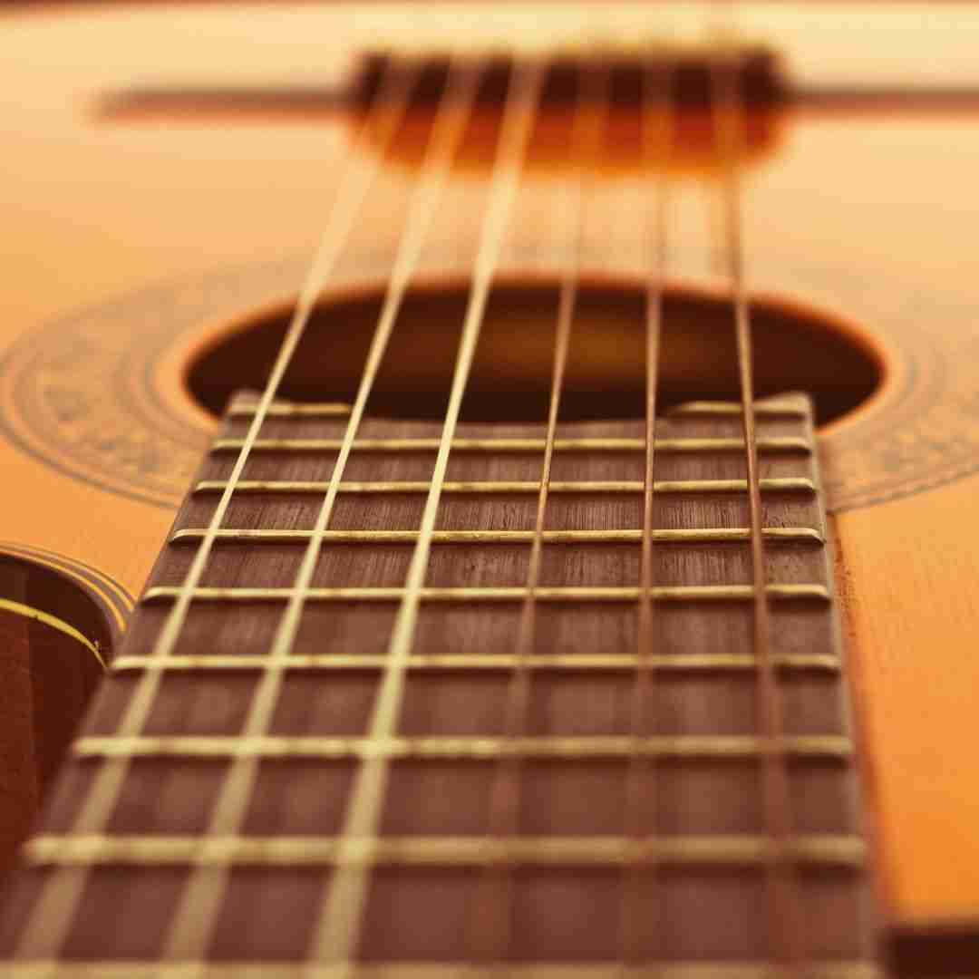 History of Taylor Guitars & why They Are Special